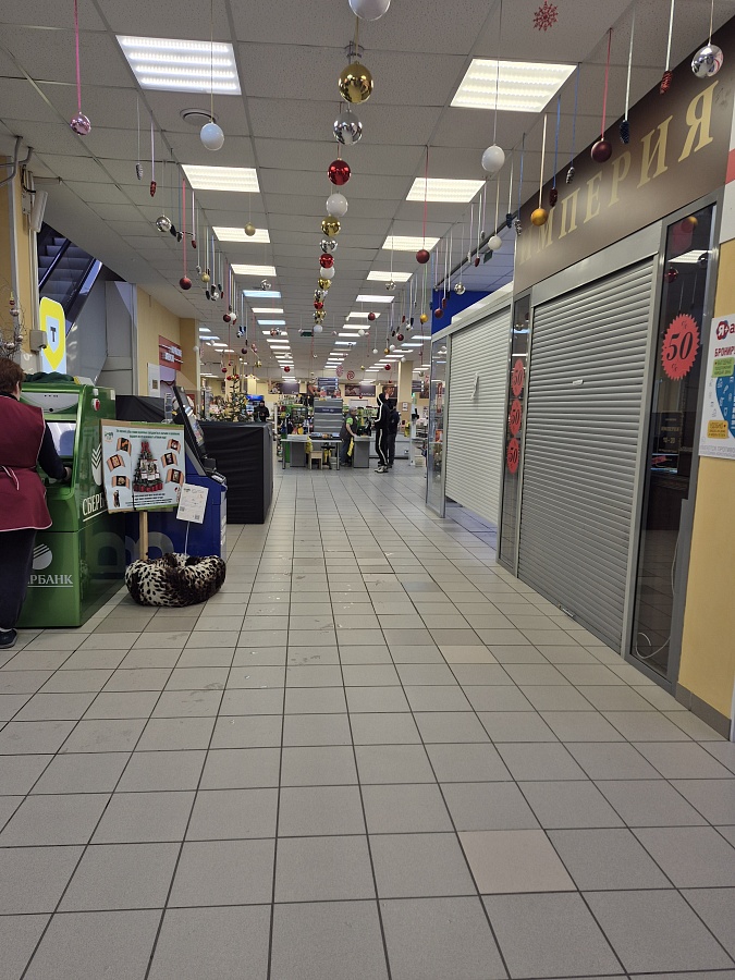 Поспелова,31