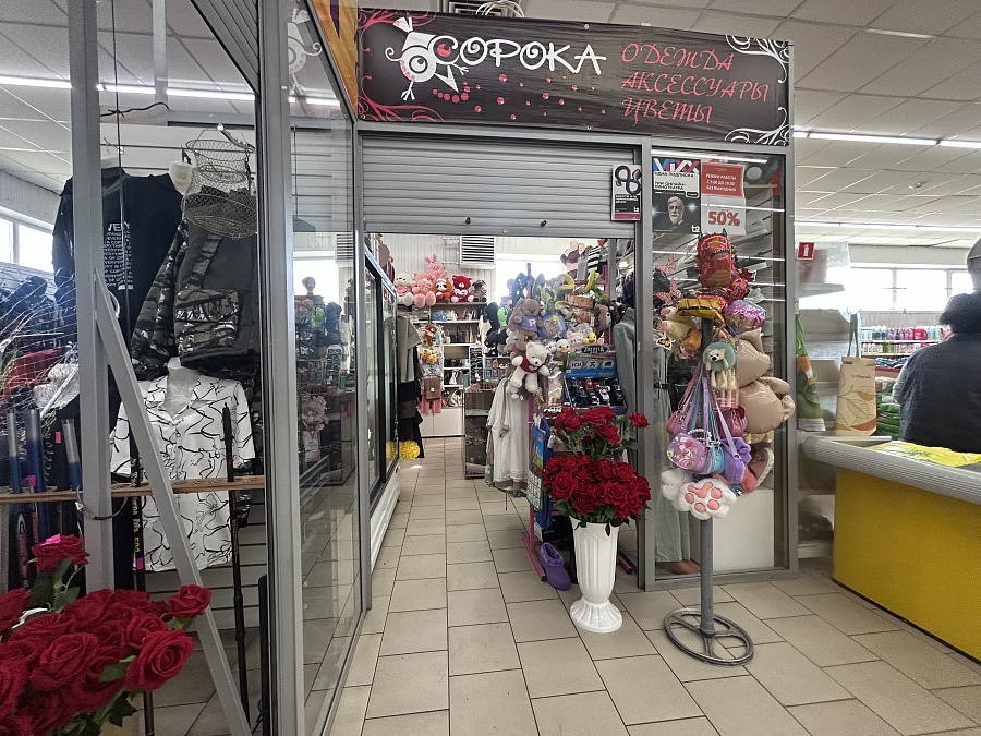 Смышляева, 48
