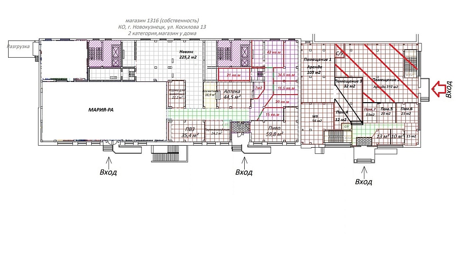 Анатолия Косилова, 13